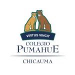 Pumahue-Chicauma